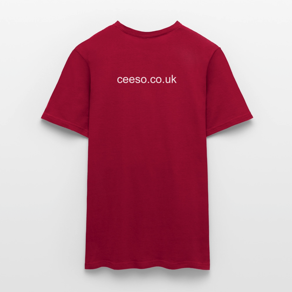 Men's T-Shirt - brick red