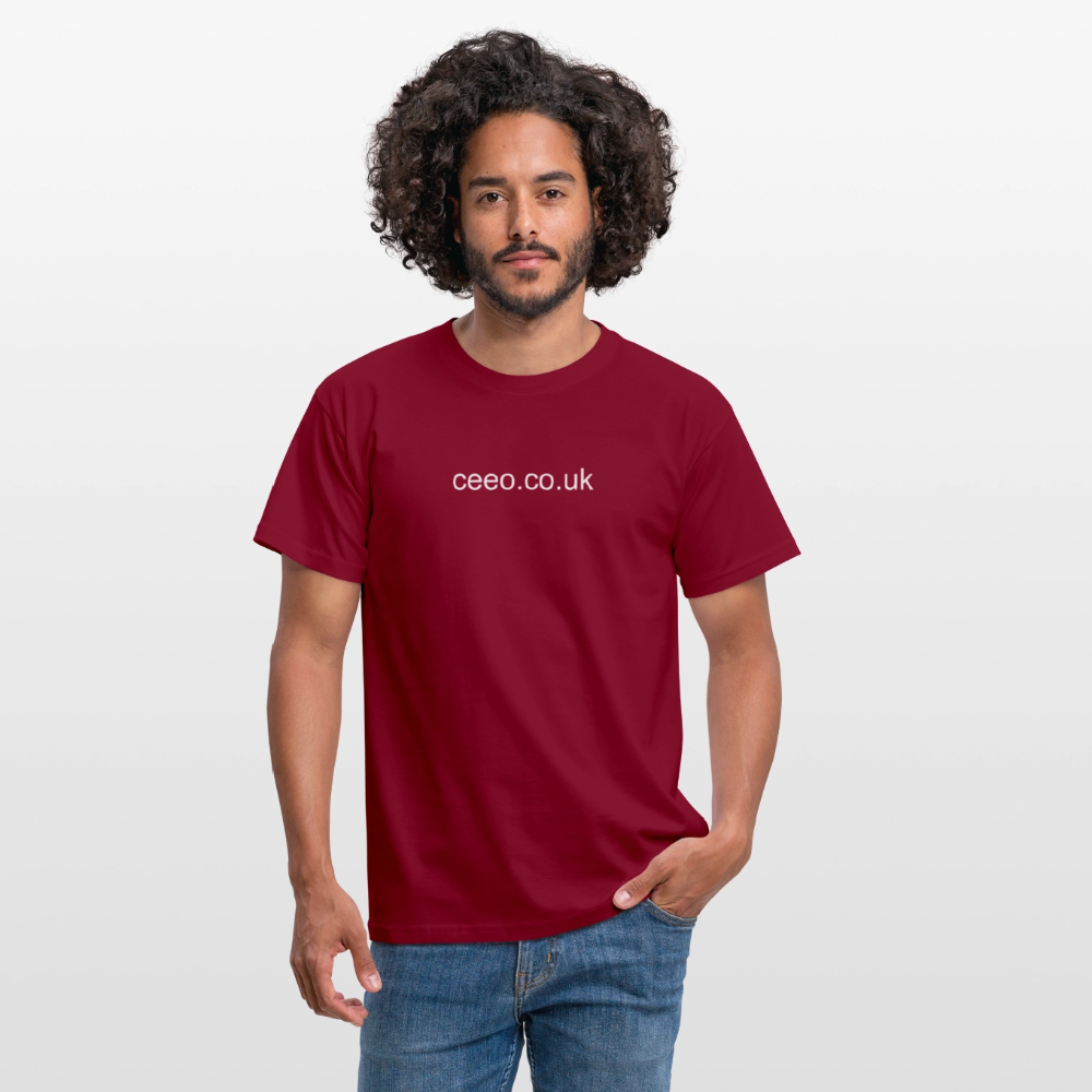Men's T-Shirt - brick red