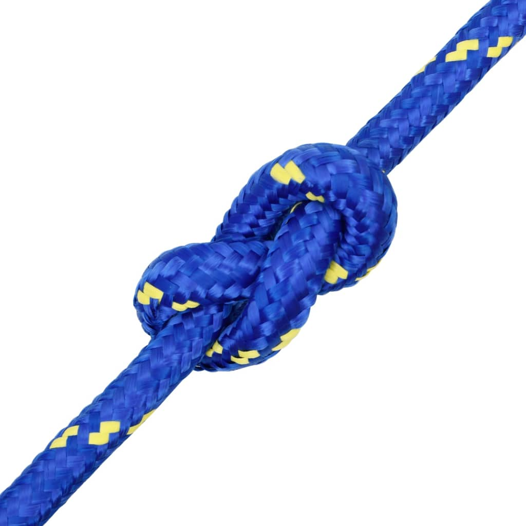 69069730