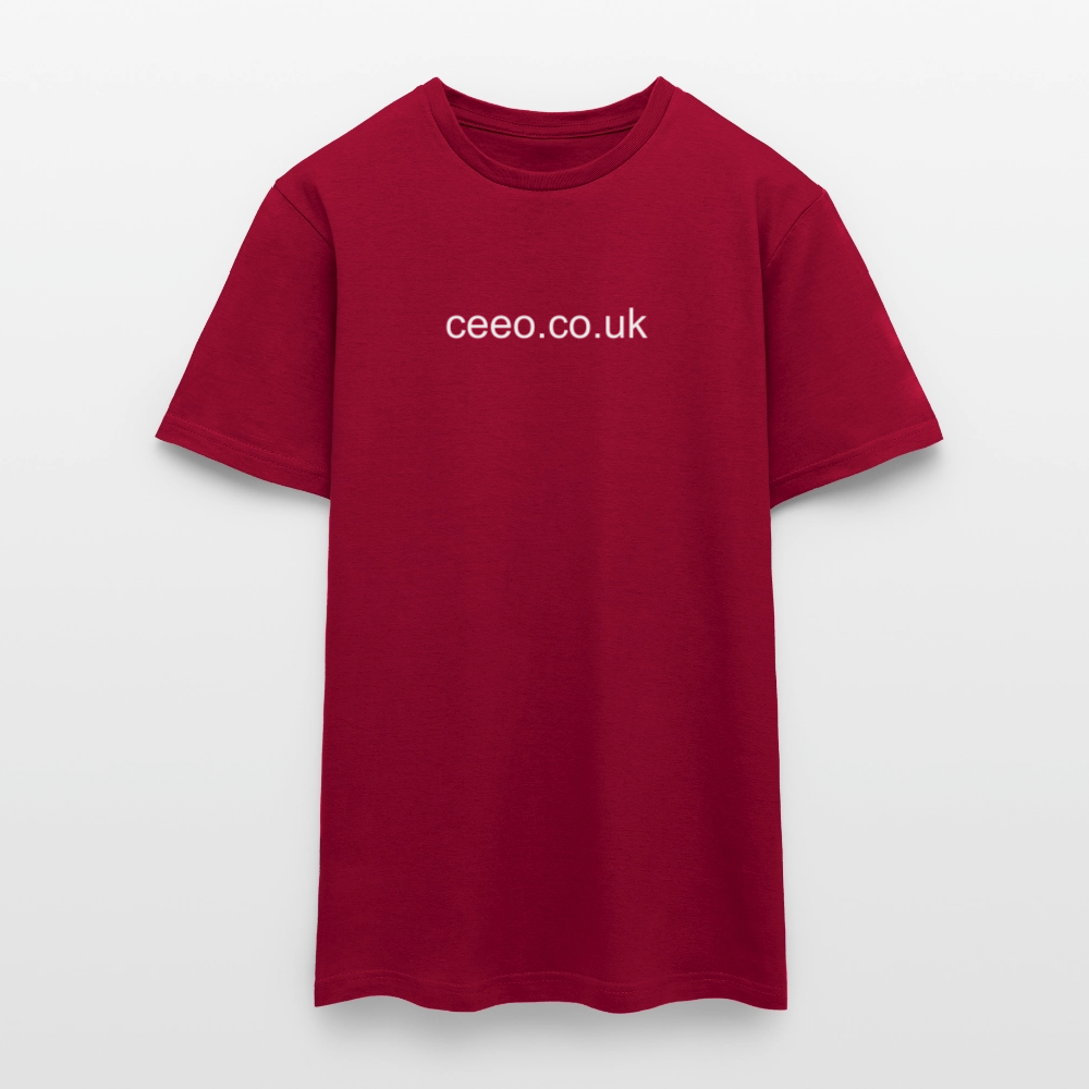 Men's T-Shirt - brick red