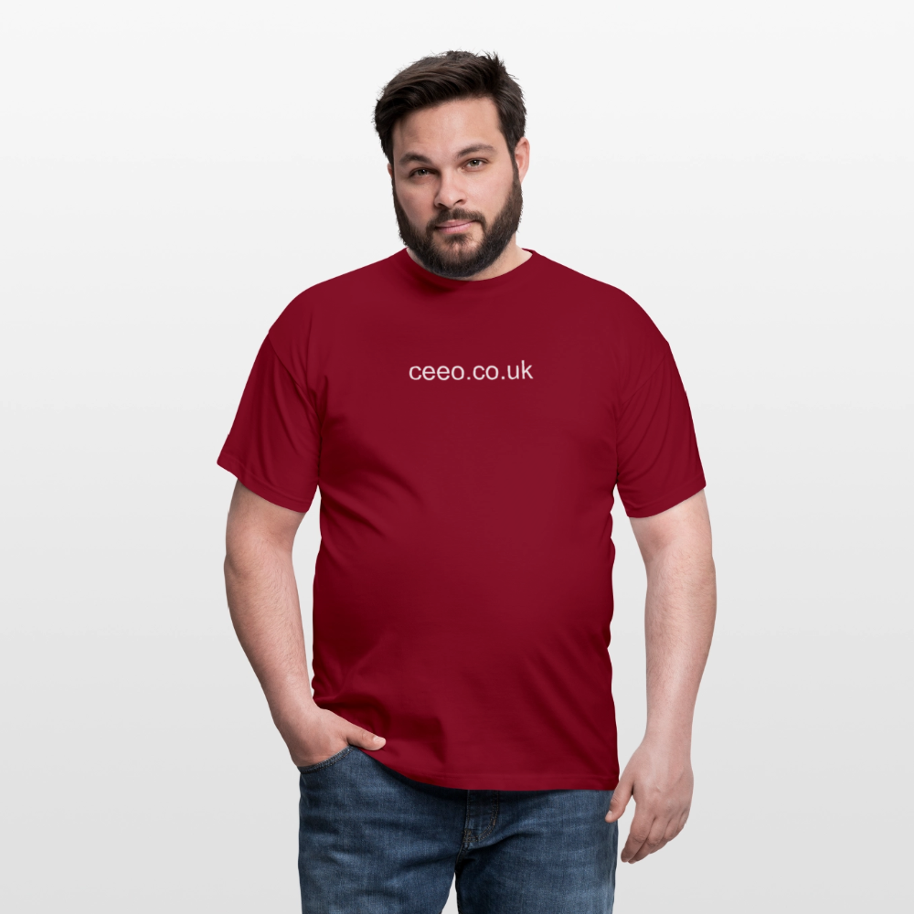 Men's T-Shirt - brick red