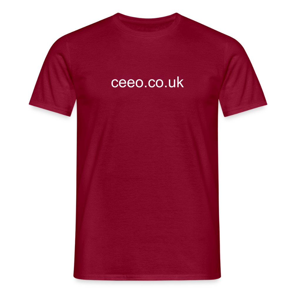 Men's T-Shirt - brick red
