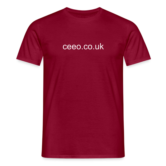 Men's T-Shirt - brick red