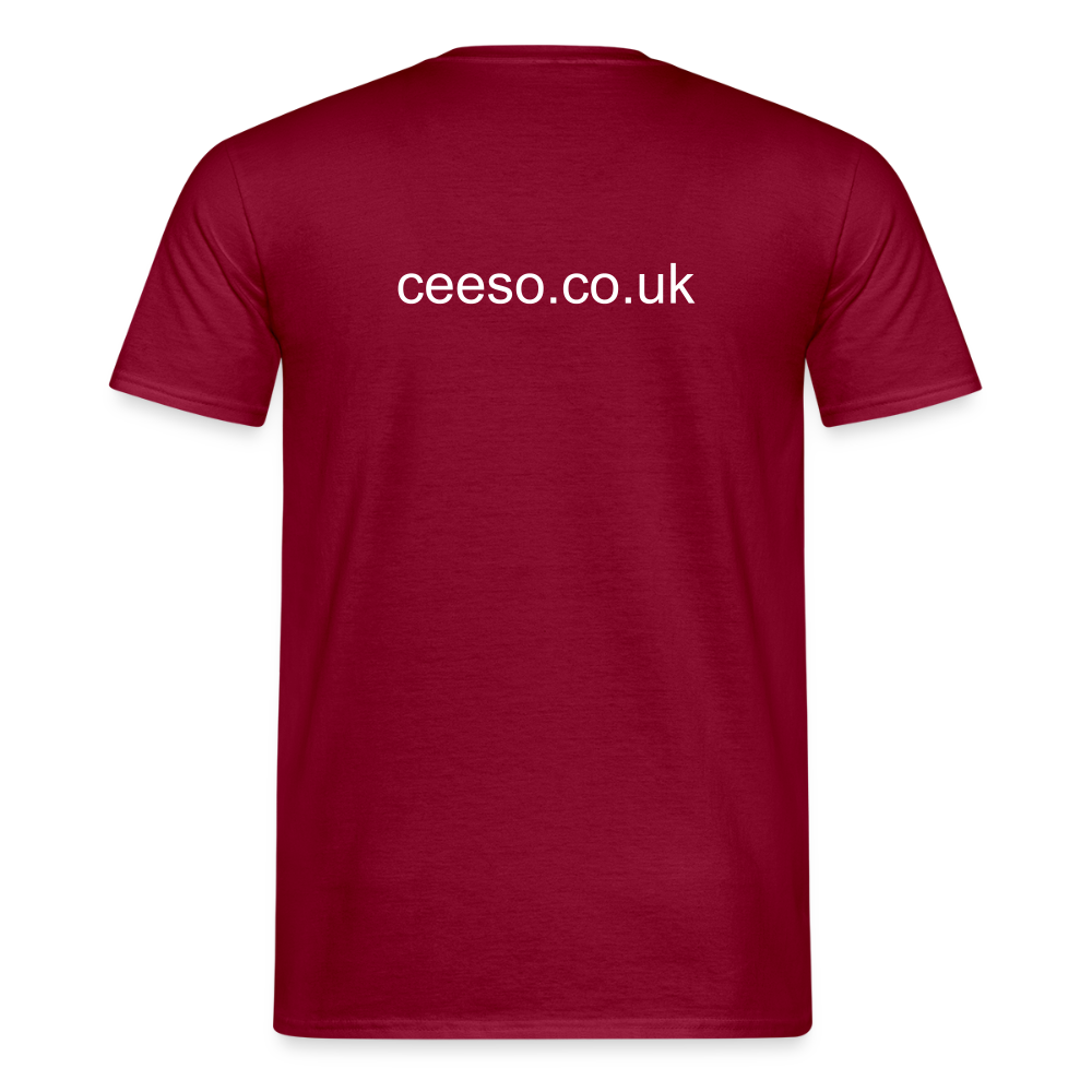 Men's T-Shirt - brick red