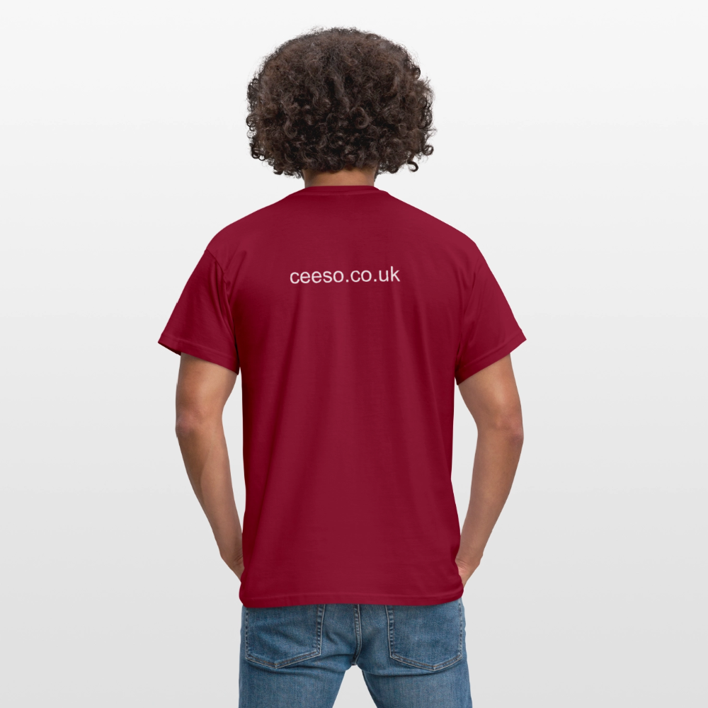 Men's T-Shirt - brick red