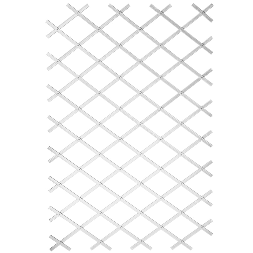 69076603