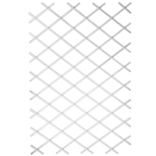 69076603