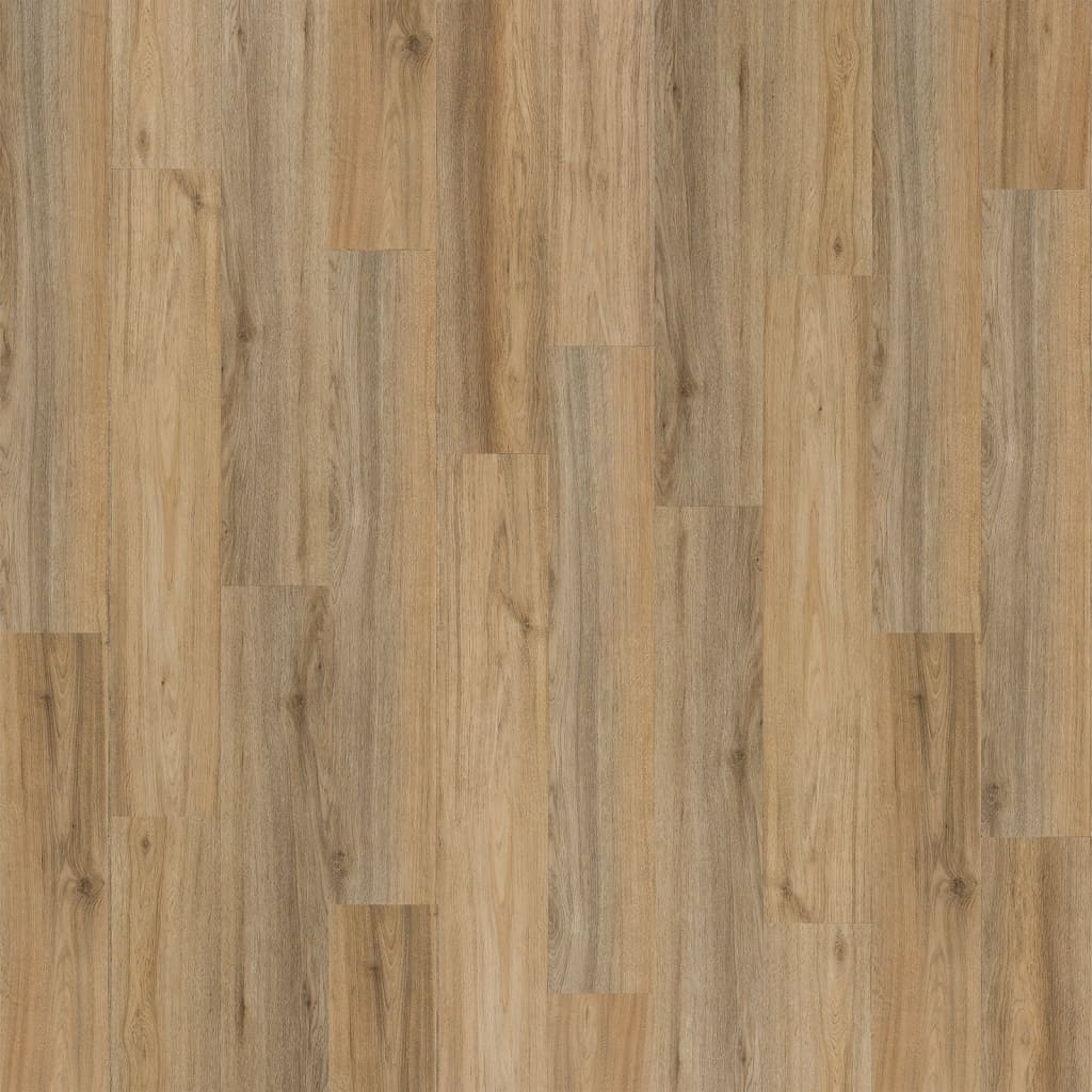 68981501
