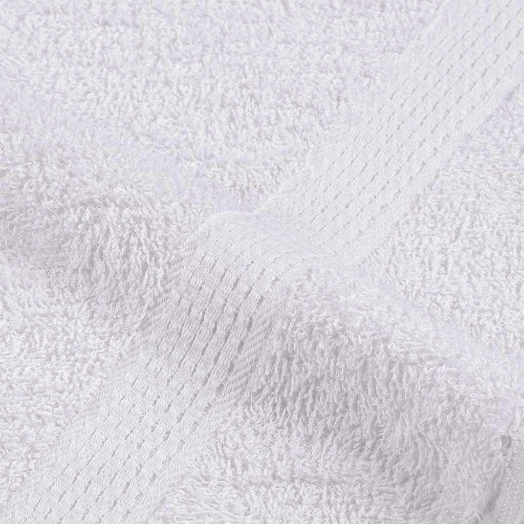69081904